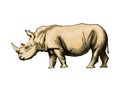 Rhinoceros from a splash of watercolor, colored drawing, realistic Royalty Free Stock Photo