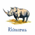 Rhinoceros standing side view, handpainted watercolor illustration isolated on white