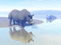 Rhinoceros and water Royalty Free Stock Photo