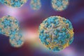 Rhinoviruses, viruses of common cold