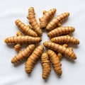 Rhizomes (Curcuma longa) arranged in a circular pattern on a Royalty Free Stock Photo
