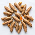 Rhizomes Curcuma longa arranged in a circular pattern on a white Royalty Free Stock Photo