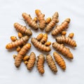 Rhizomes (Curcuma longa) arranged in a circular pattern on a white Royalty Free Stock Photo