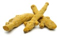 Rhizomes of Turmeric Royalty Free Stock Photo