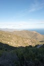 Rhodes Monastery in the port of the jungle