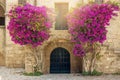 Rhodes Old Town view over old arch shape door and two Bougainvillea flowers growing on sides against ancient brick wall. Royalty Free Stock Photo