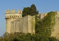 Rhodes old town wall Royalty Free Stock Photo