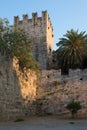 Rhodes town fortifications: old stone tower and palmtree at sunset. Beautiful landmark. Greece