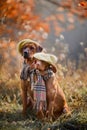 Ridgeback and Vizsla portrait