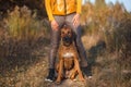 Rhodesian ridgeback sits in the legs of a trainer girl in the autumn field Royalty Free Stock Photo