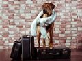 Rhodesian Ridgeback traveller dressed in fur scarf with suitcase Royalty Free Stock Photo