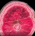 Rhodochrosite mineral from Capillitas Mine, Argentina Royalty Free Stock Photo