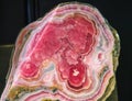 Rhodochrosite mineral from Capillitas Mine, Argentina Royalty Free Stock Photo