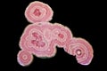 Rhodochrosite mineral