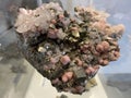 Rhodochrosite, quartz, pyrite or Rhodochrosit, Quarz, Pyrit minerals and crystals in the exhibition Mount SÃÂ¤ntis - Switzerland