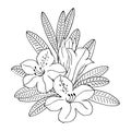 Rhododendron or Alpine rose. Hand drawn contour vector outline Royalty Free Stock Photo