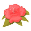 Rhododendron art icon cartoon vector. Flower plant