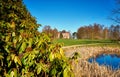 Rhododendron at the castle pond with Wiligrad Castle in the background. Germany Royalty Free Stock Photo