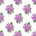 Rhododendron flower seamless pattern.