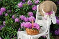 hat on wicker chair in rhododendron garden Royalty Free Stock Photo