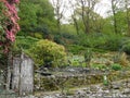 Rhododendron gardens designed by John Ruskin at the Brantwood Museum in the Lake District Royalty Free Stock Photo