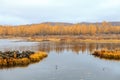 Rhododendron Lake  in Aershan, Inner Mongolia, China Royalty Free Stock Photo