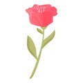 Rhododendron stamen icon cartoon vector. Floral bloom