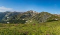 Rhododendrons bloom in the mountains