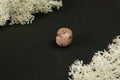 Rhodonite from China. Natural mineral stone on a black background surrounded by moss. Mineralogy, geology, magic, semi Royalty Free Stock Photo
