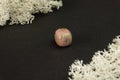 Rhodonite from China. Natural mineral stone on a black background surrounded by moss. Mineralogy, geology, magic, semi Royalty Free Stock Photo