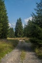 Rhodope mountains, Bulgaria in summer season