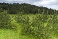 Rhodope Mountains near village of Dobrostan, Bulgaria