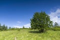 Rhodope Mountains near village of Dobrostan, Bulgaria