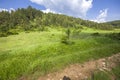 Rhodope Mountains near village of Dobrostan, Bulgaria