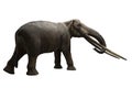 The Rhodopean mastodon,Anancus arvernensis