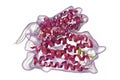 Rhodopsin molecule, 3D illustration Royalty Free Stock Photo