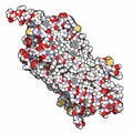 rhodopsin (visual purple) light perception protein, chemical structure. Biological pigment molecule present in the eye