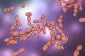 Rhodotorula fungi, 3D illustration. Pigment producing yeasts, cause infections in immunocompromised patients Royalty Free Stock Photo