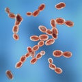 Rhodotorula fungi, 3D illustration. Pigment producing yeasts, cause infections in immunocompromised patients Royalty Free Stock Photo