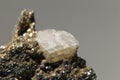 rhombic calcite crystal. Macro photografy