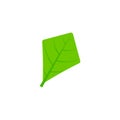 Rhomboid leaf flat icon