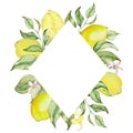 Rhombus frame of watercolor lemons, flowers and leaves