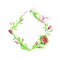 A rhombus-shaped frame of painted floral elements with green stems, garden rosebuds and a butterfly. Isolate on a white background Royalty Free Stock Photo