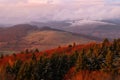 Colorful light and trees in Rhon mountains