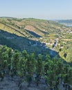 Rhone River Valley near Vienne Royalty Free Stock Photo