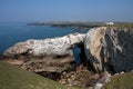 Rhoscolyn coastline Royalty Free Stock Photo