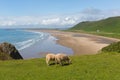 Rhossili beach The Gower peninsula South Wales one of the best beaches in the UK Royalty Free Stock Photo
