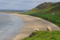 Rhossili Beach Royalty Free Stock Photo
