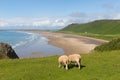 Rhossili The Gower Peninsula South Wales one of the best beaches in the UK Royalty Free Stock Photo