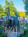 RHS Chelsea Flower Show 2017. A beautiful artisan gardens display for the show.